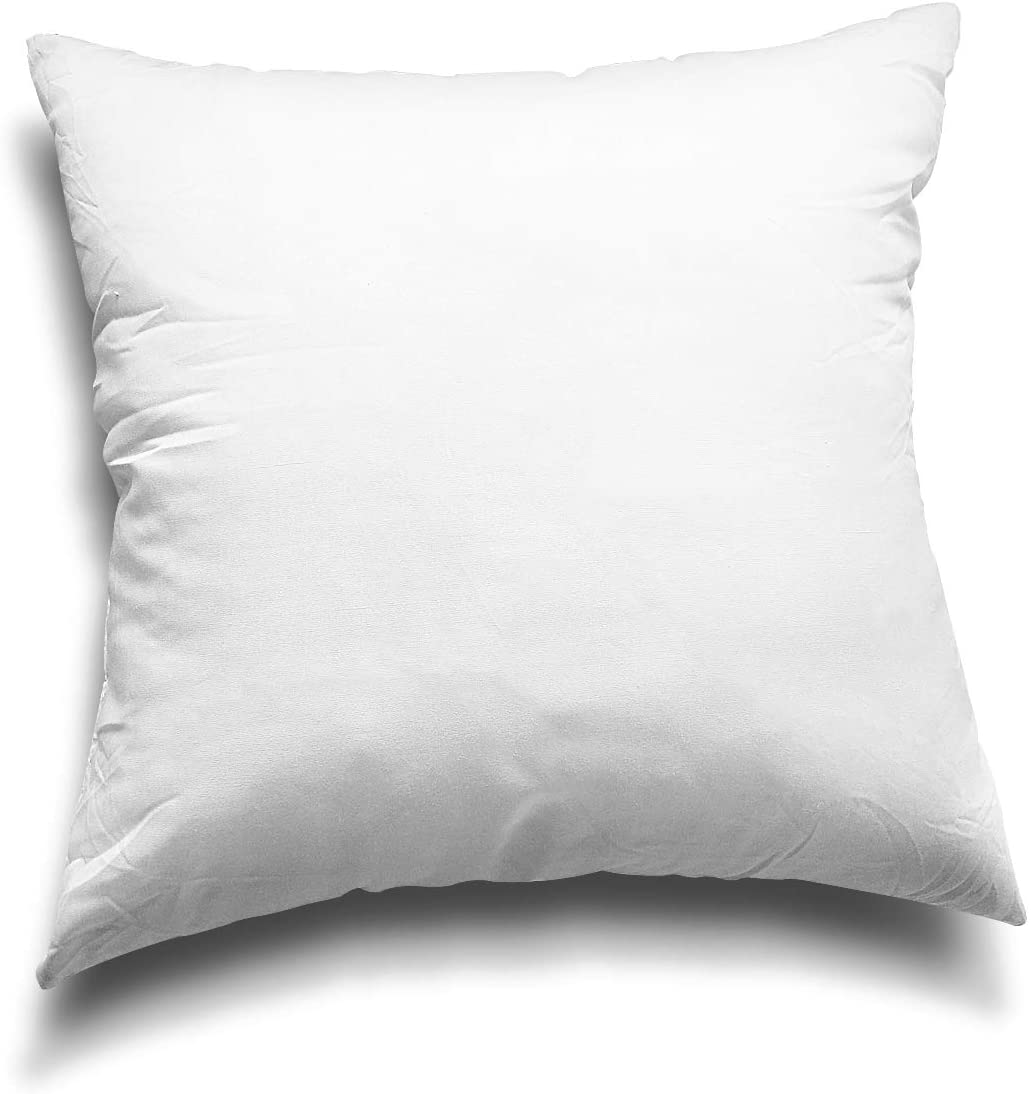 Pillow Insert